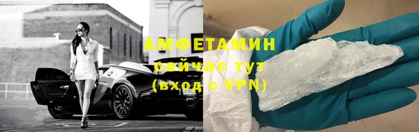твердый Абаза