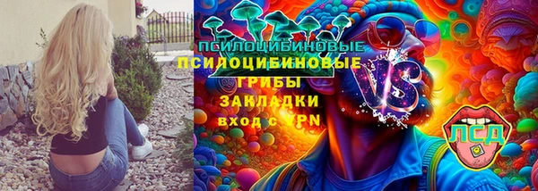 твердый Абаза
