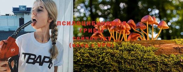 трава Абинск