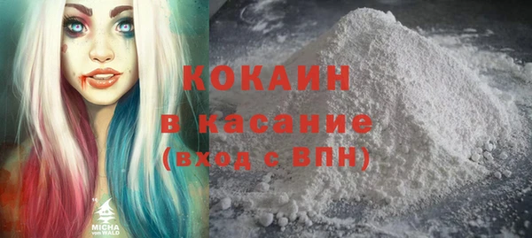 твердый Абаза