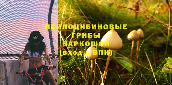 трава Абинск