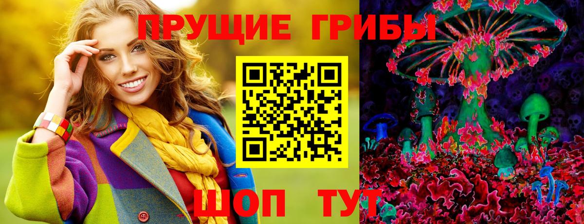 Псилоцибиновые грибы Psilocybine cubensis Фрязино