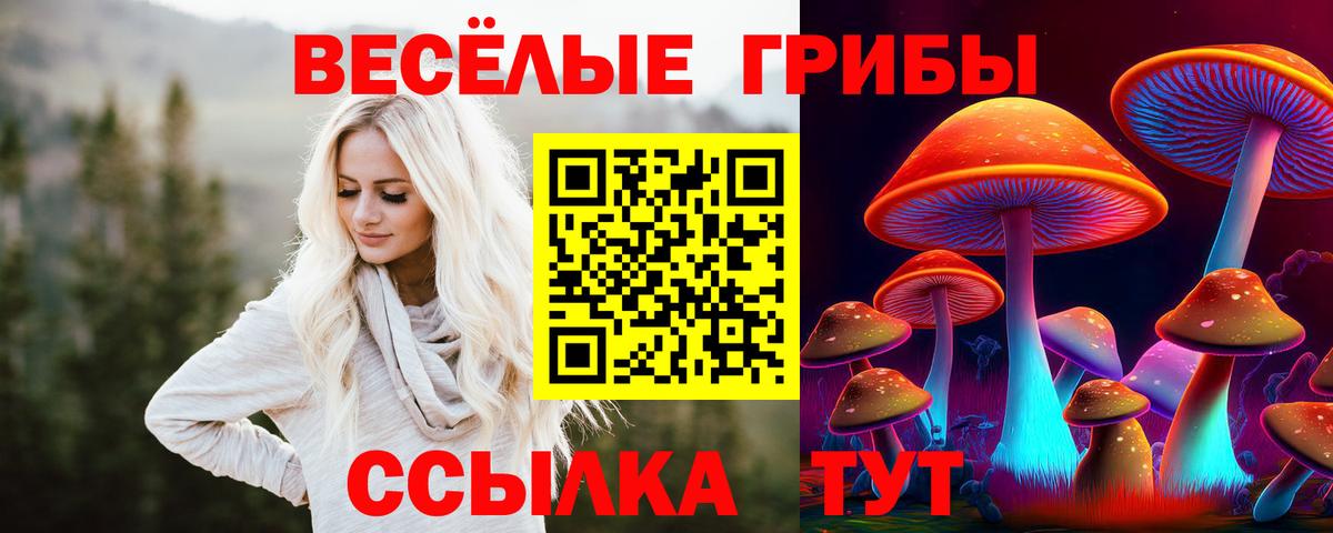 Галлюциногенные грибы прущие грибы  Вход с VPN  Фрязино 
